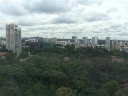 Scotts 28 (D9), Condominium #68816952